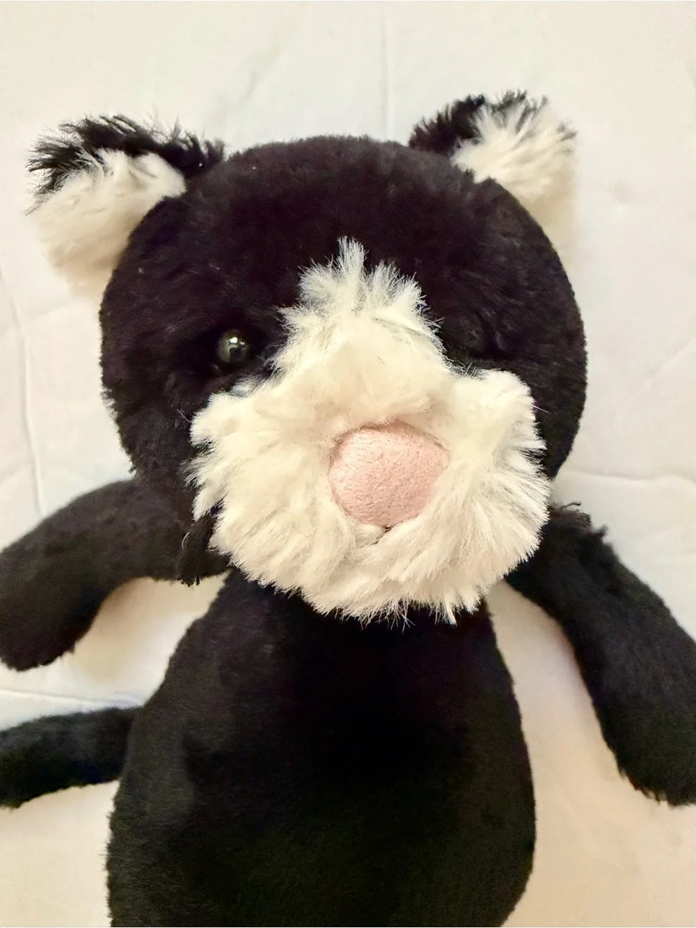 Jellycat Small Bashful Kitten Black and Cream Tuxedo Size 8